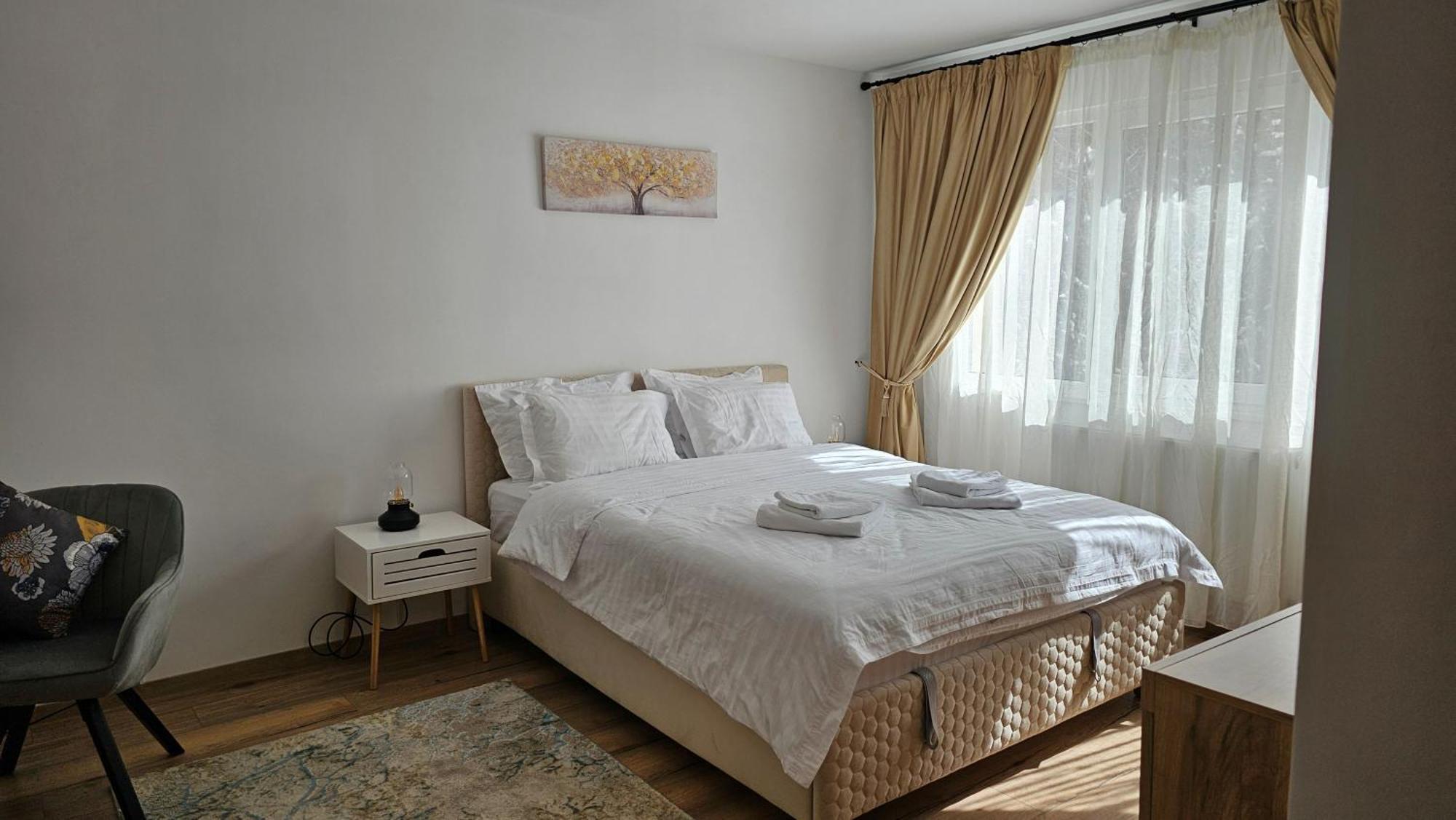 Saturn Studio Braşov Dış mekan fotoğraf